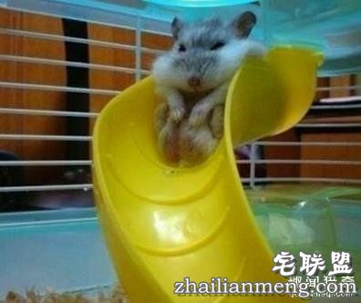 大屁屁的10种生活悲剧,一定憋住不许笑!