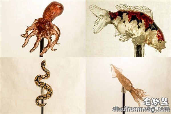 叹服!日本大师雕塑家制作逆天动物棒棒糖:太逼真