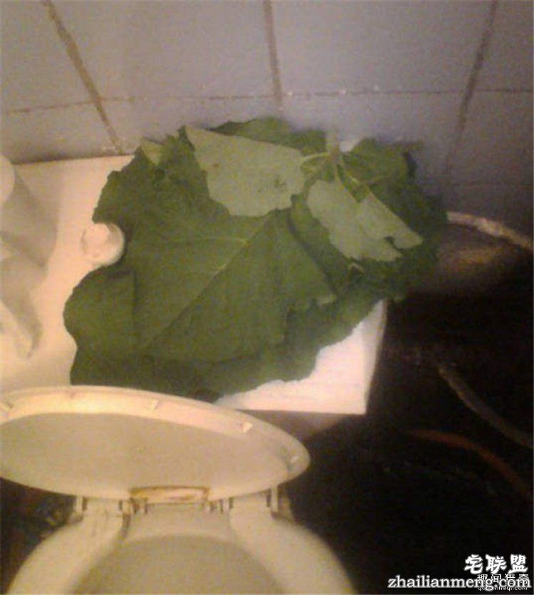 看了这组图才知道,战斗民族的生活日常有多剽悍