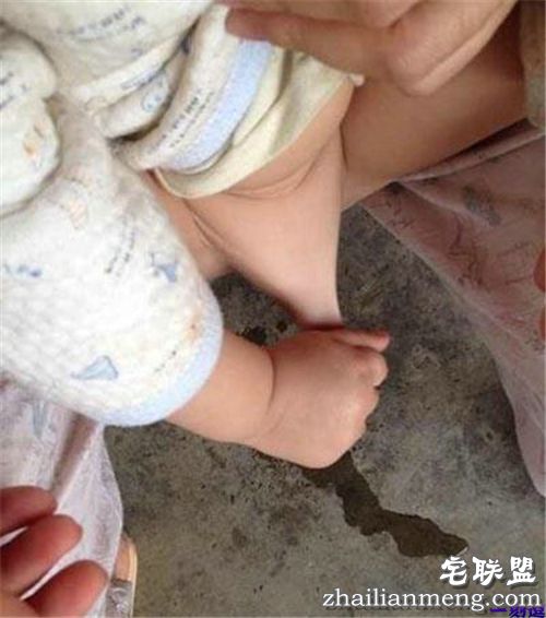 老师，你知道贾翠花是谁吗