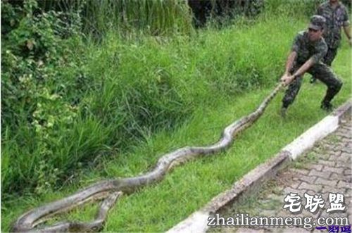 不好，有人偷牌