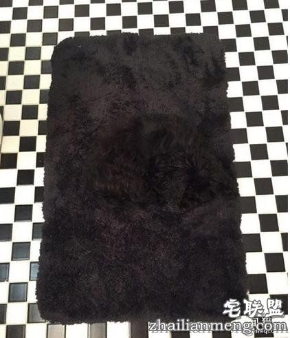 12张“必须猛摇手机”才能看到亮点的图片