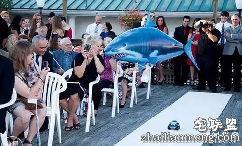 婚礼上最抢镜的,竟然不是新郎新娘……