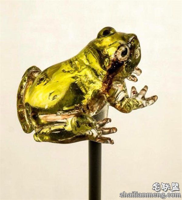 叹服!日本大师雕塑家制作逆天动物棒棒糖:太逼真