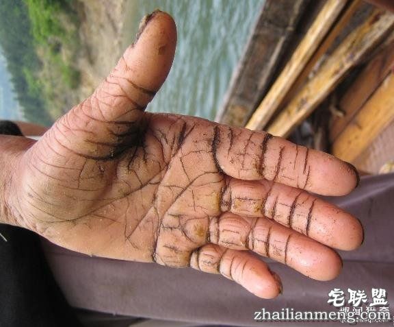 这是一双中国47岁母亲的双手 看到她每天做的东西 你还敢抱怨你的生活吗...?