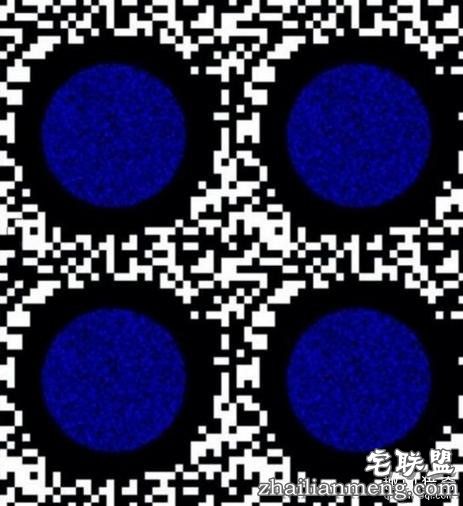 12张“必须猛摇手机”才能看到亮点的图片