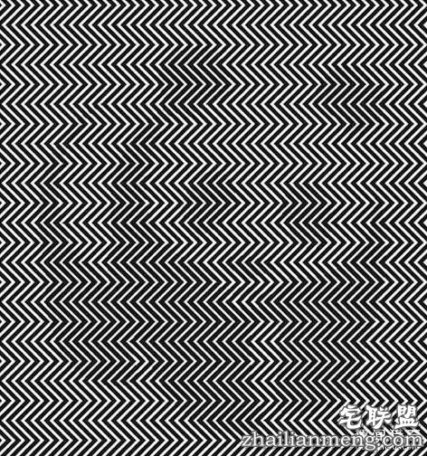 12张“必须猛摇手机”才能看到亮点的图片