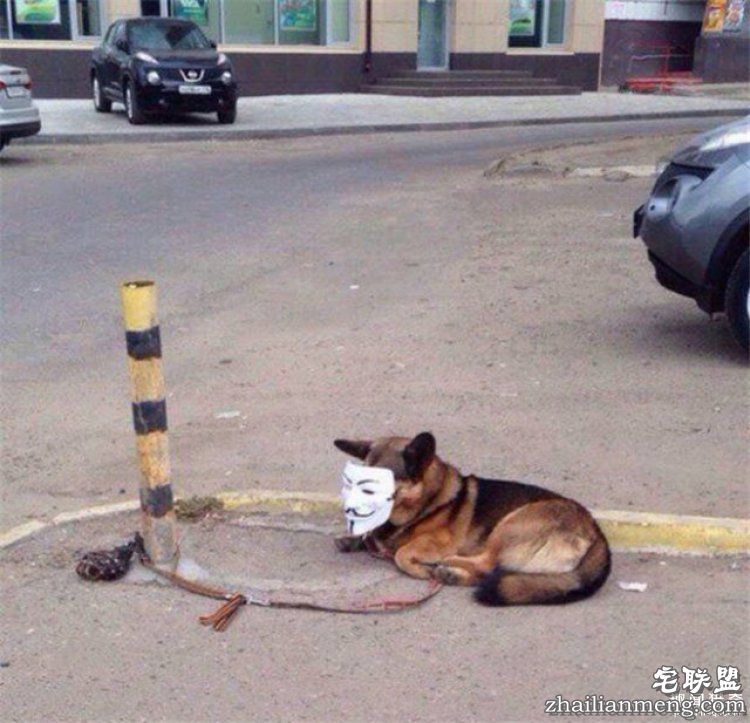 看了这组图才知道,战斗民族的生活日常有多剽悍