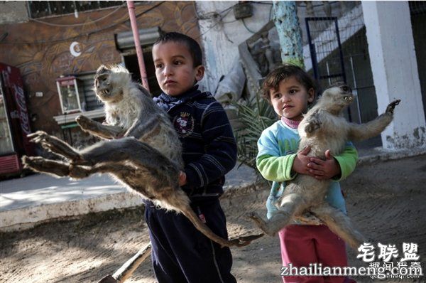 最悲惨动物园动物被饿死 干尸成儿童玩具