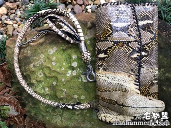 泰国女子晒蟒皮钱包带原味蛇头 网友暴怒