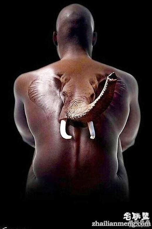 逼真的3D纹身,看后忍不不住惊呼