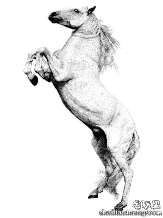 这是用钉子“画画”,看完我就跪了!