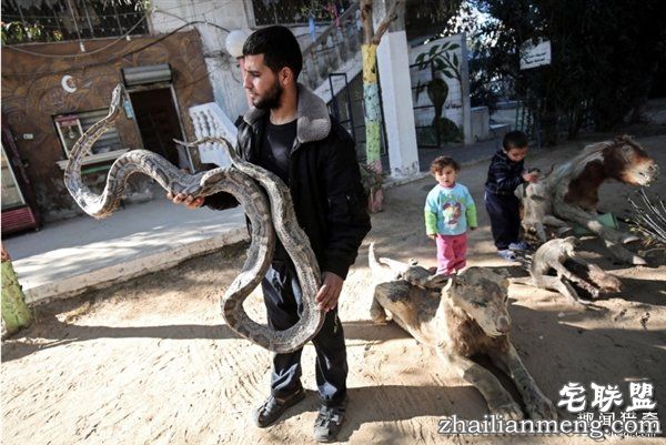最悲惨动物园动物被饿死 干尸成儿童玩具