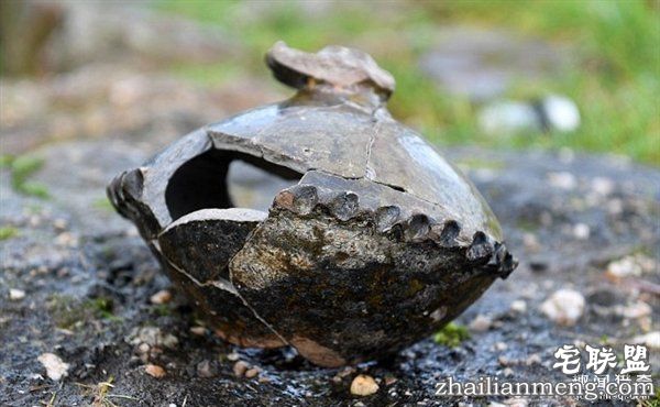 男子花光积蓄买地:竟意外发现中世纪古城