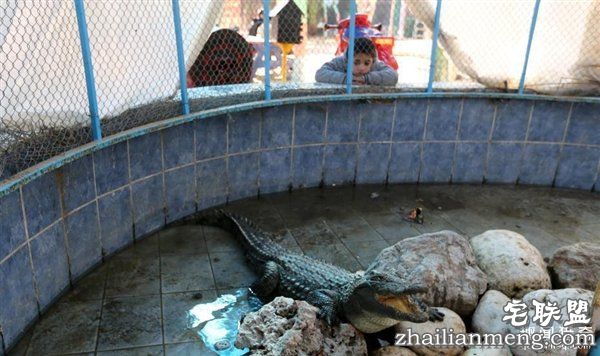 最悲惨动物园动物被饿死 干尸成儿童玩具