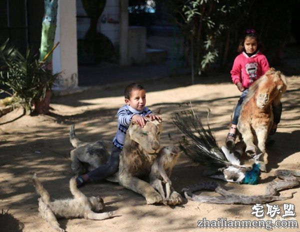 最悲惨动物园动物被饿死 干尸成儿童玩具
