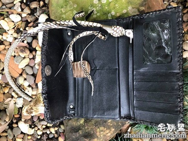 泰国女子晒蟒皮钱包带原味蛇头 网友暴怒