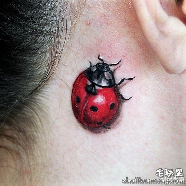 逼真的3D纹身,看后忍不不住惊呼