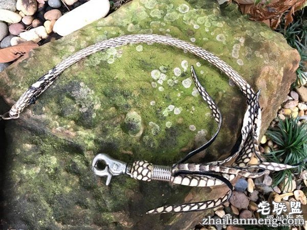 泰国女子晒蟒皮钱包带原味蛇头 网友暴怒