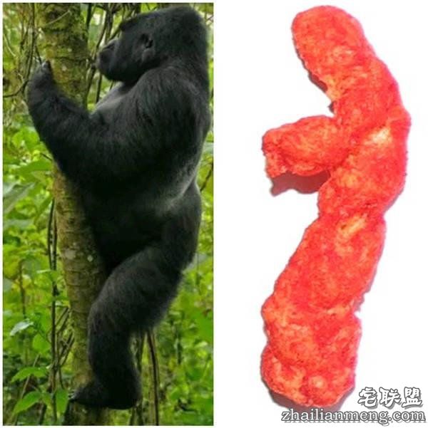 10万美元买一块零食?外国网友疯起来自己都怕