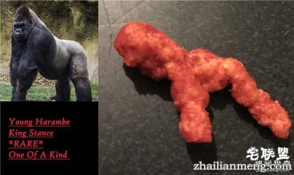 10万美元买一块零食?外国网友疯起来自己都怕