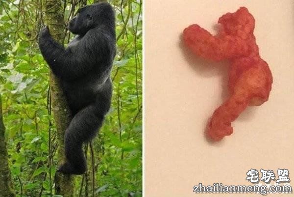 10万美元买一块零食?外国网友疯起来自己都怕