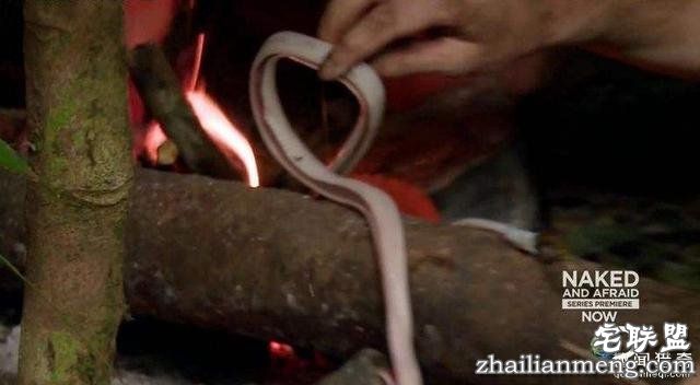 求生类综艺节目《原始生活21天》让人刷新三观