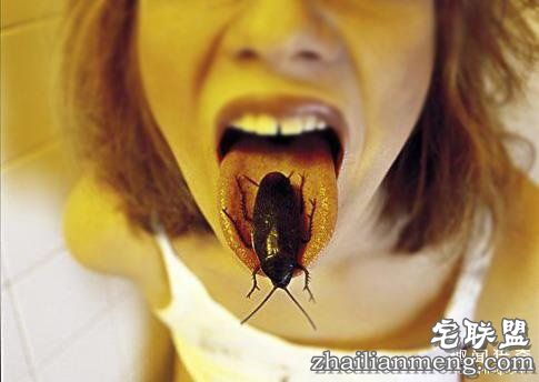 如果蟑螂全部消失:地球瞬间大乱……