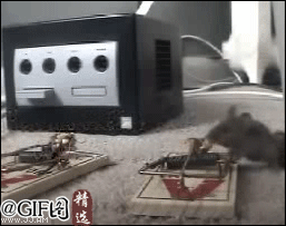 隔着屏幕,都仿佛听到了你的惨叫