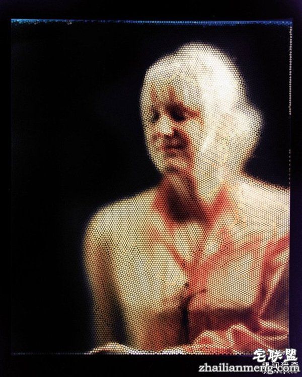 用32000只吸管制作“镜头” 拍出的照片长这样