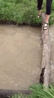 兄弟,玩大发了吧,这一下是废了!