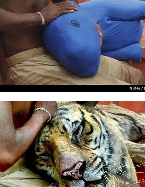 当美国大片没有加特效的时候:越看越像神经病