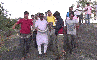 大叔，你这么玩，就是长十条舌头也不够用！