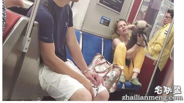 女子狂撕咬宠物狗画面疯狂看懵乘客