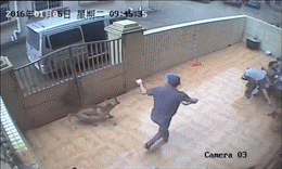 大叔，别人结婚你激动啥呢