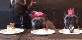 瓜确实是好瓜，就是太不正经！