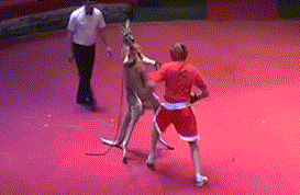 大姐身上的纹身和坐姿就能看的出你有很多故事