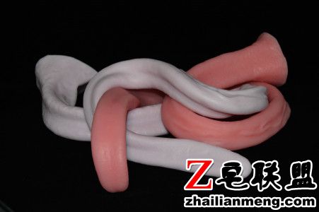 ▲▼可喷卵异形假GG! 还可自制蛋蛋体会「体内产卵」快感(图/翻摄自PrimalHardwere)