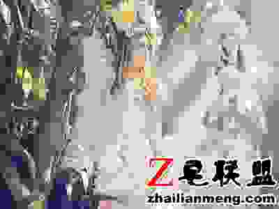 jpg 240419-1411240J42123.jpg