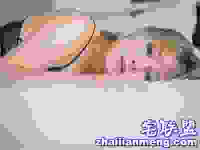 jpg 未标题-76.jpg