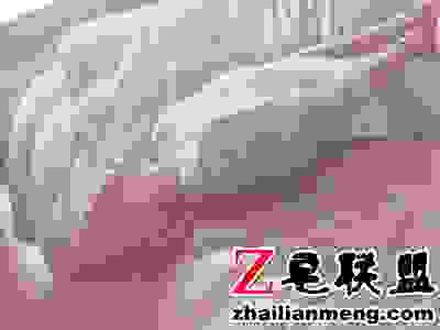 jpg 未标题-4 (2).jpg