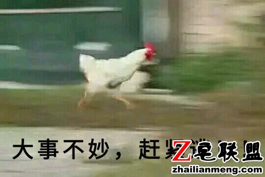 63138f21297799bdd663336b9592b0f6