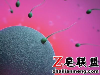 1510222636605933.jpg U5790P8DT20120416154100.jpg