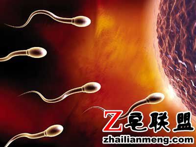 1510222631253107.jpg 78899444.jpg