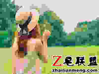 jpg 20141018023418779.jpg