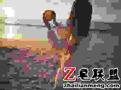 jpg 20170317041405924.jpg