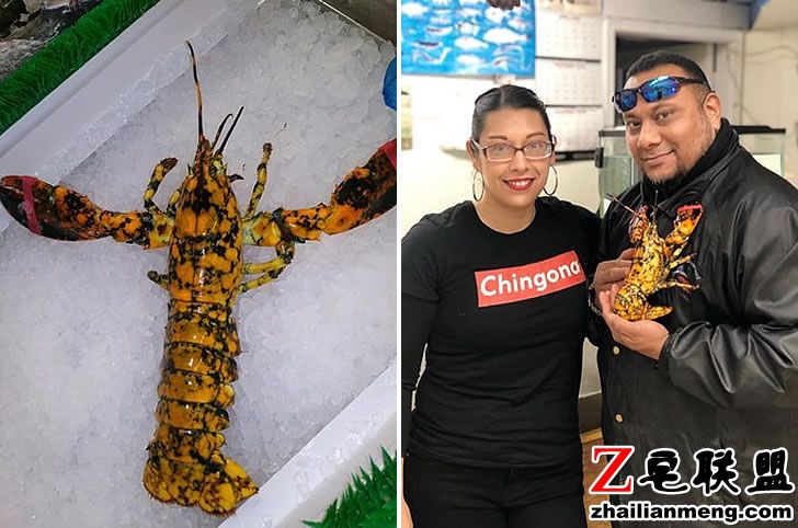 5465465654555.jpg 5465465654555.jpg