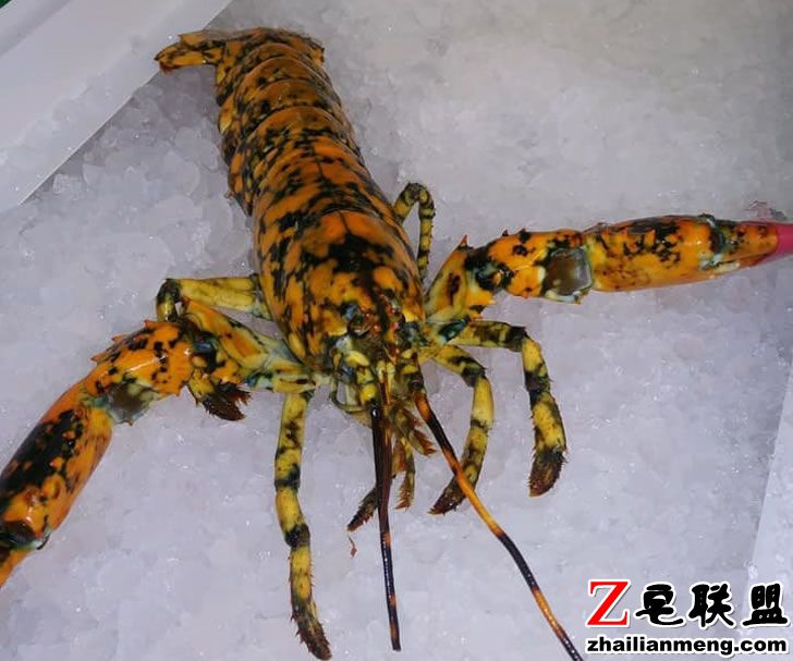 567565444.jpg 567565444.jpg