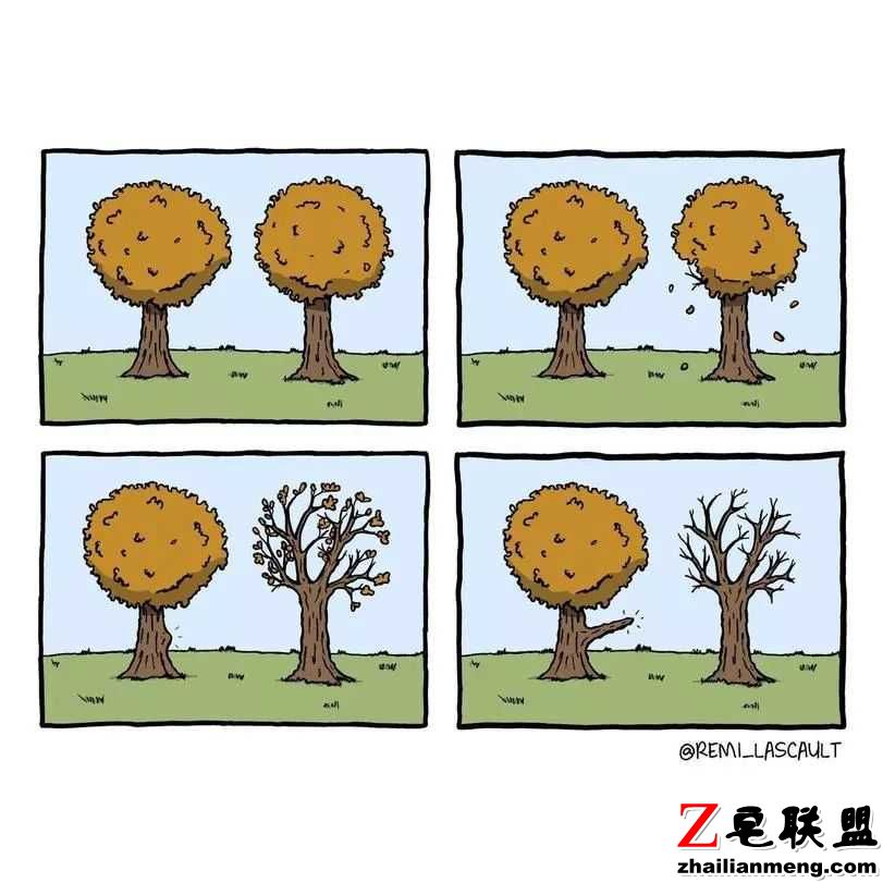 段子:社会的确很残酷,但也不要小瞧了自己的适应力 段子:社会的确很残酷,但也不要小瞧了自己的适应力图片