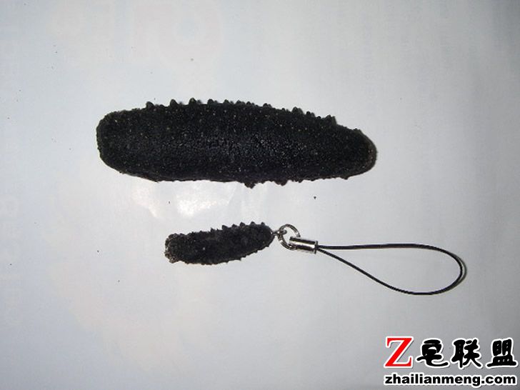 d3951795.jpg d3951795.jpg